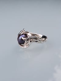 Image 4 of Black Pearl Wave