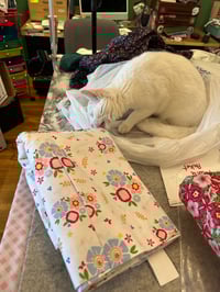 Image 3 of Fabric for Felines -FUR-RAISER for Neonatal Kittens