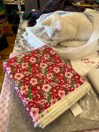 Image 4 of Fabric for Felines -FUR-RAISER for Neonatal Kittens