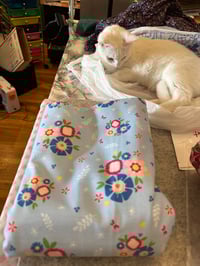 Image 7 of Fabric for Felines -FUR-RAISER for Neonatal Kittens