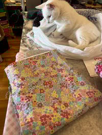 Image 8 of Fabric for Felines -FUR-RAISER for Neonatal Kittens