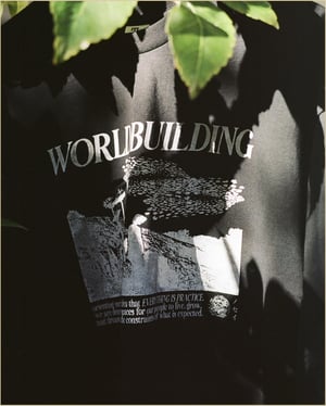 worldbuilding - LONGSLEEVE shirt