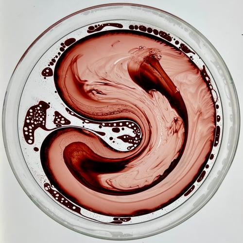 Image of Expansion Colors - Set of All 6 - Save$