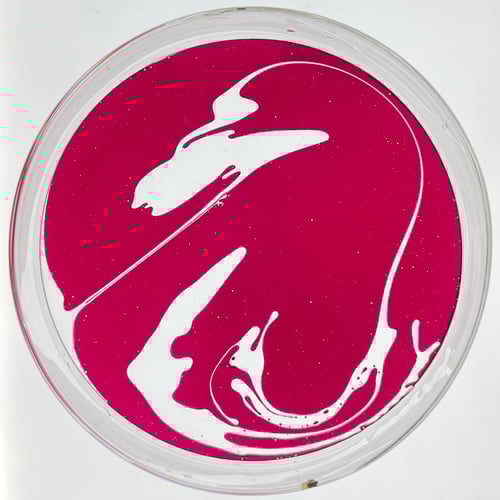 Image of Expansion Colors - Set of All 6 - Save$