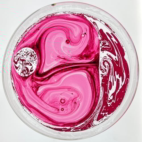 Image of Expansion Colors - Set of All 6 - Save$