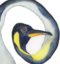 Image 2 of Twisted Penguin Giclée Art Print 8"x10", 5"x7"