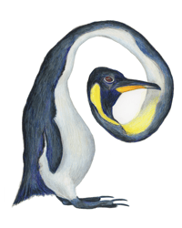 Image 1 of Twisted Penguin Giclée Art Print 8"x10", 5"x7"