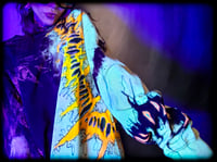 Image 9 of UV CrawLer (XL)