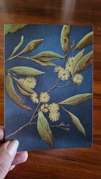 Image 3 of "Golden Wattle" Greeting Card