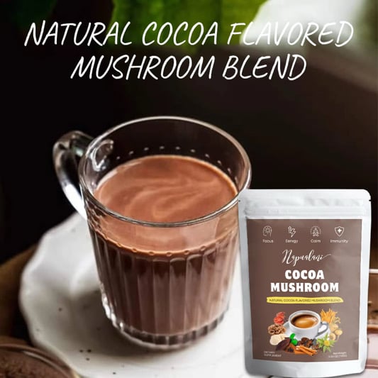 Image of Cocoa Mushroom 