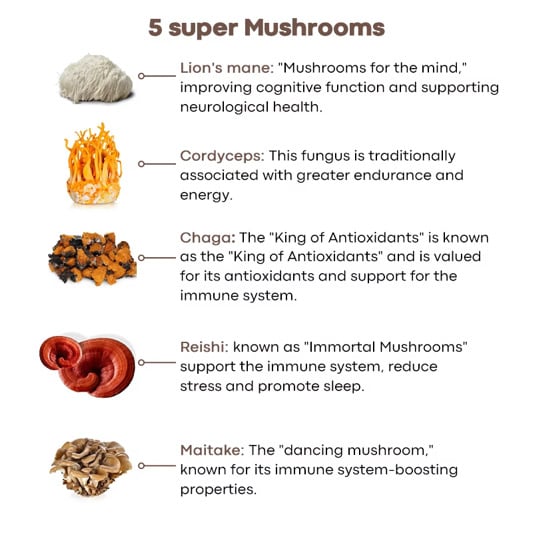 Image of Cocoa Mushroom 
