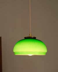 Image 3 of Dolcetto Verde