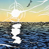 Sea Light Constellations