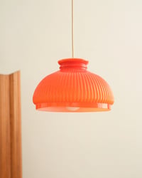 Image 3 of Dolcetto Arancione 