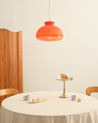Image 1 of Dolcetto Arancione 