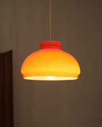 Image 4 of Dolcetto Arancione 