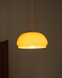 Image 4 of Dolcetto Giallo 