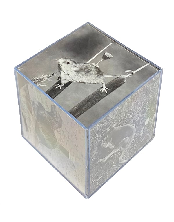 Image of YOU RUN AROUND... photo cube #01