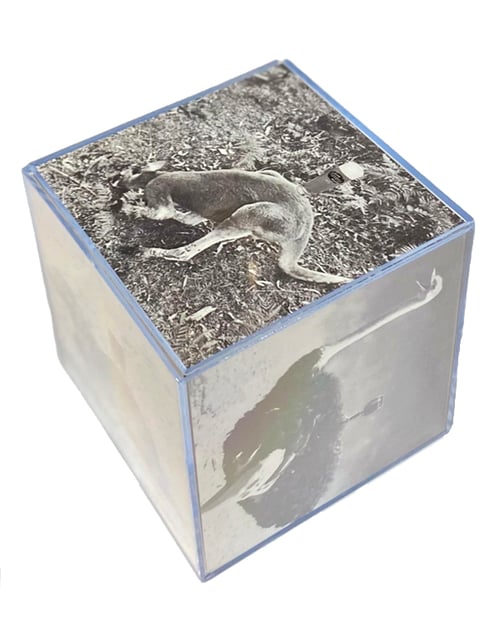 Image of YOU RUN AROUND... photo cube #01