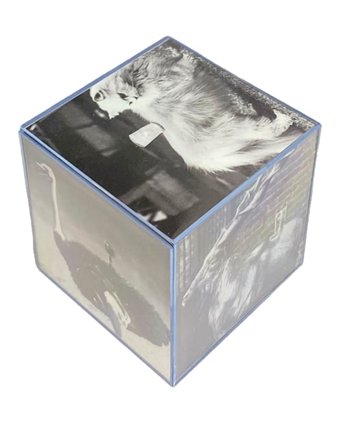 Image of YOU RUN AROUND... photo cube #01