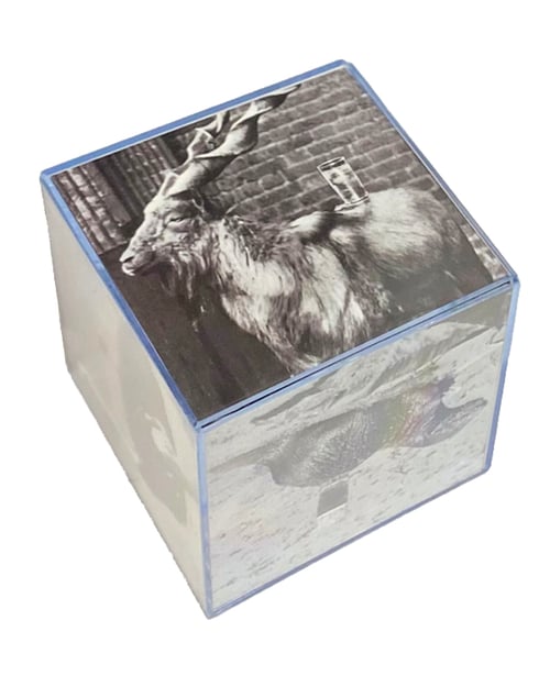 Image of YOU RUN AROUND... photo cube #01