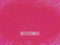 LAUNCHING 30.06.25