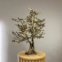 Image 2 of Bronze Olive Tree 61cm