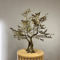 Image 3 of Bronze Olive Tree 61cm