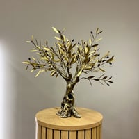 Image 1 of Bronze Olive Tree 41cm
