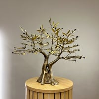 Image 1 of Bronze Olive Tree 47cm