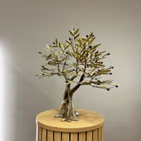 Image 2 of Bronze Olive Tree 47cm