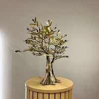 Image 3 of Bronze Olive Tree 47cm