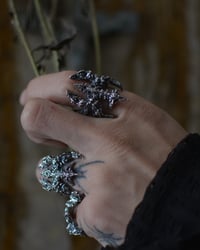 Image 4 of Feral Entropy Ring