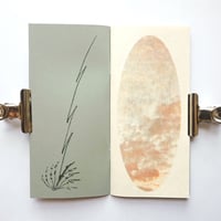 Image 2 of ACROPHOBIA zine