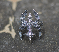 Image 5 of Feral Entropy Ring