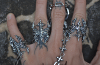 Image 2 of Feral Entropy Ring