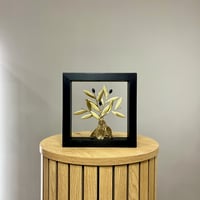 Bronze Olive Tree Wide Trunk 20x20cm