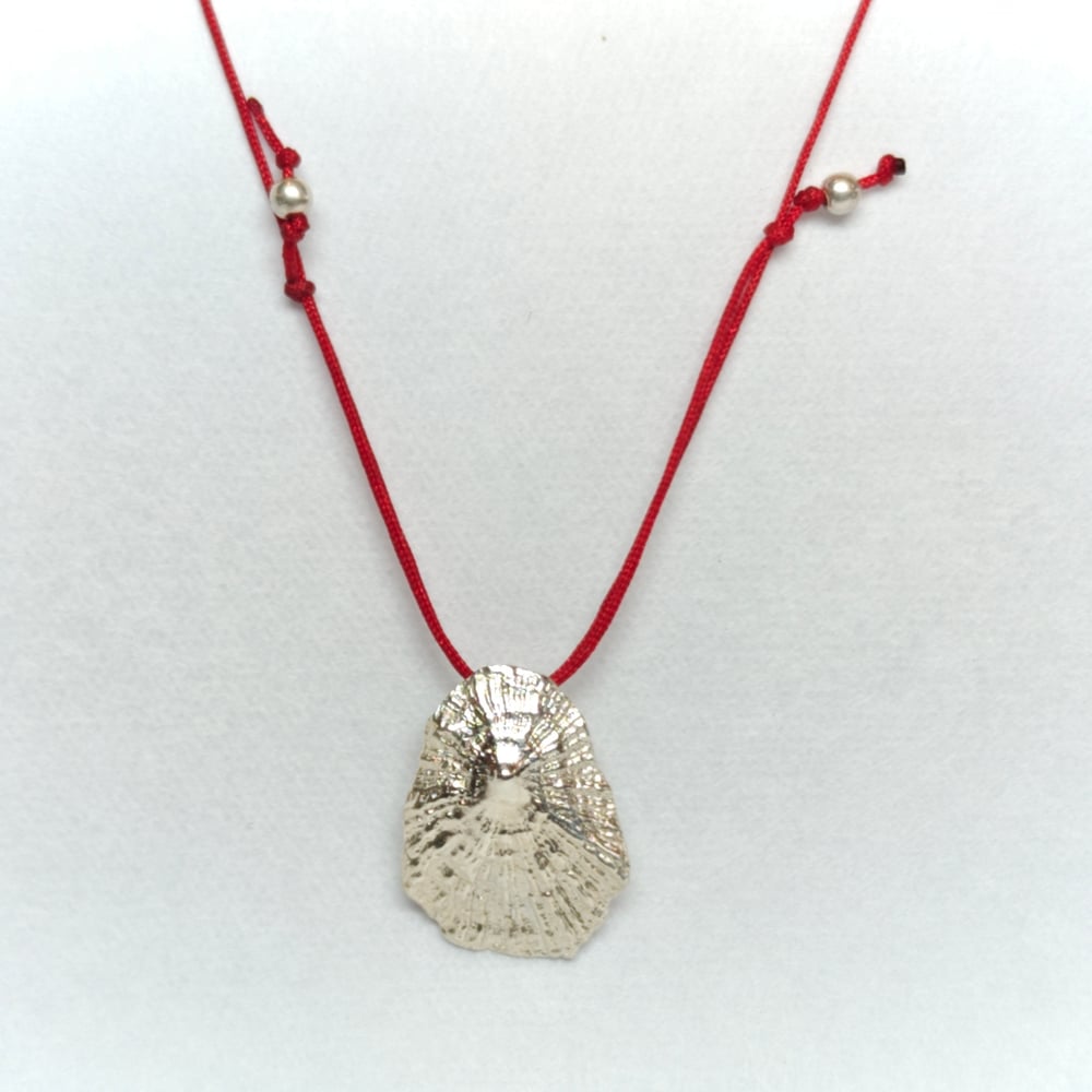 Beeld van Silver shell Peniche