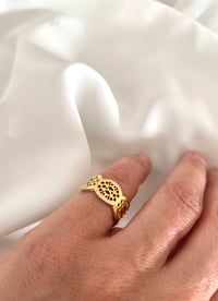 Image 1 of Fitzroy ring 