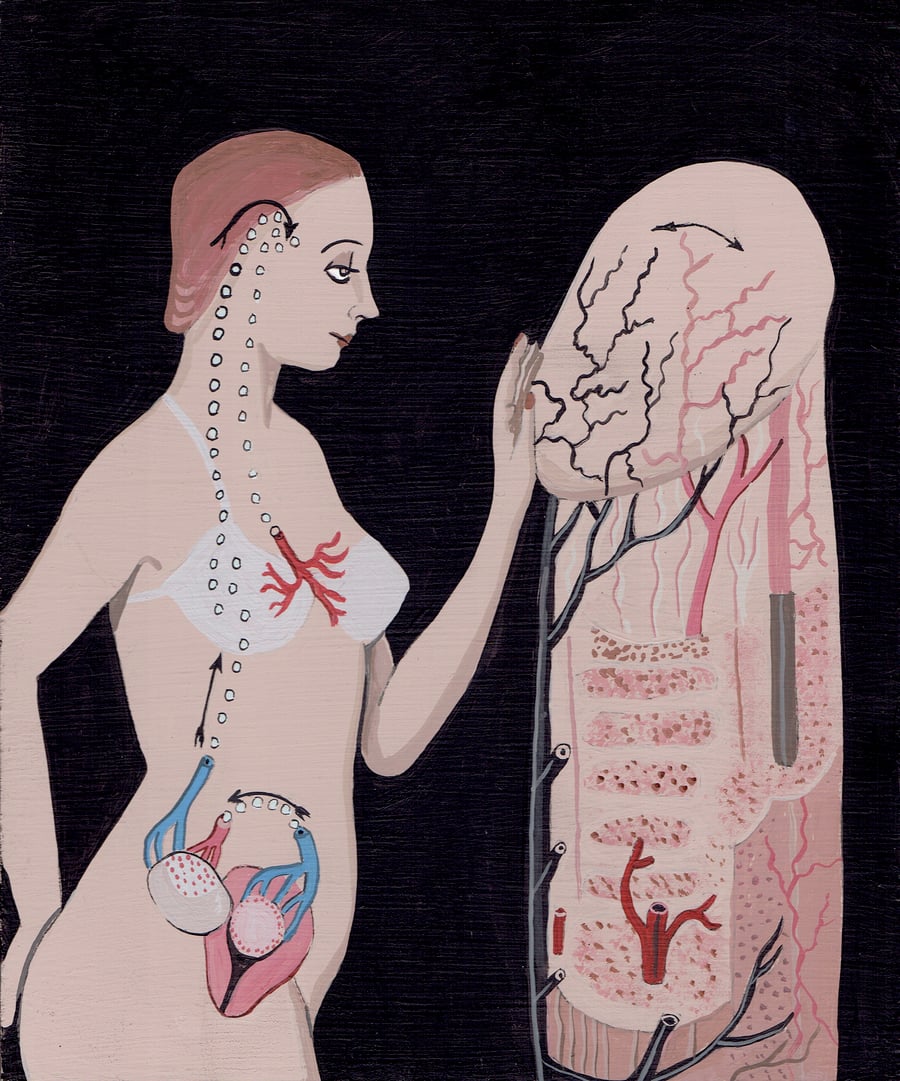 Image of NATURAL HISTORY