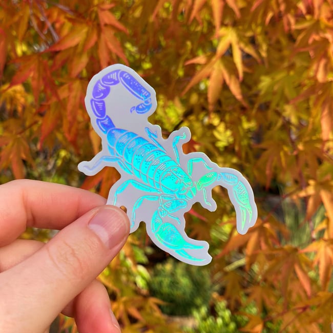Scorpion Holographic Sticker