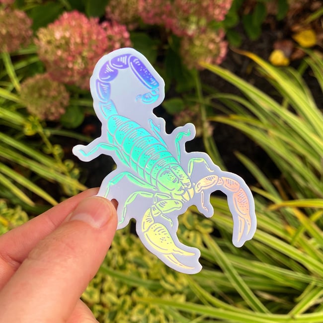 Scorpion Holographic Sticker