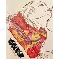 Viscere #1: Body Horror