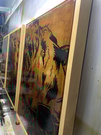 Image 3 of German Shepherd