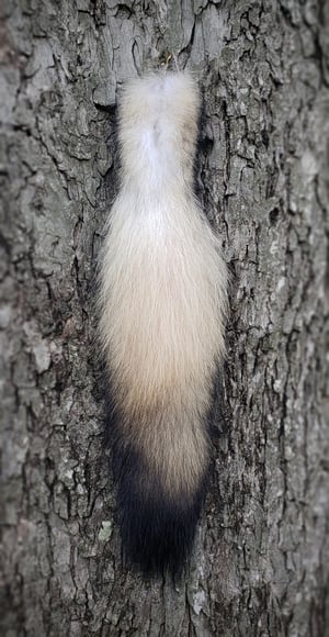 Image of Wolf Tail