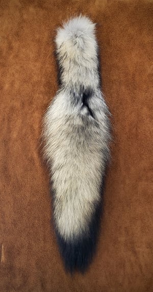 Image of Wolf Tail
