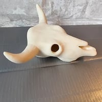 Small Cowskull