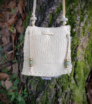 Image of Cougar Paw Pouch