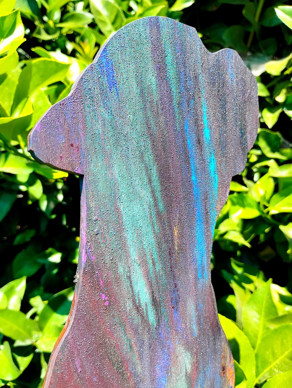 Northern Lights Wooden Boxer