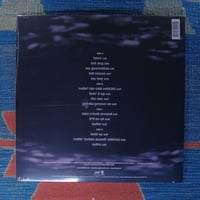 Image 2 of Limp Bizkit - Chocolate Starfish and The Hotdog Flavored Water
